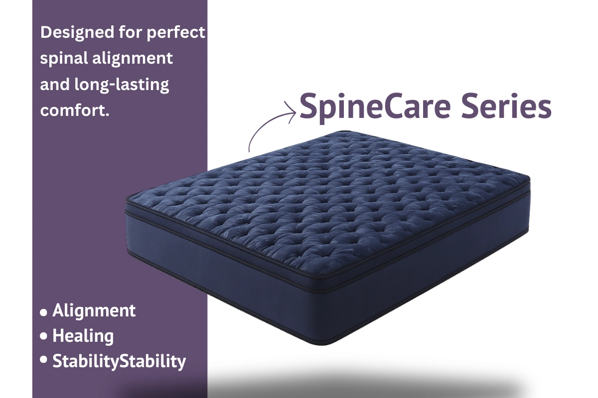 Spine Care Series